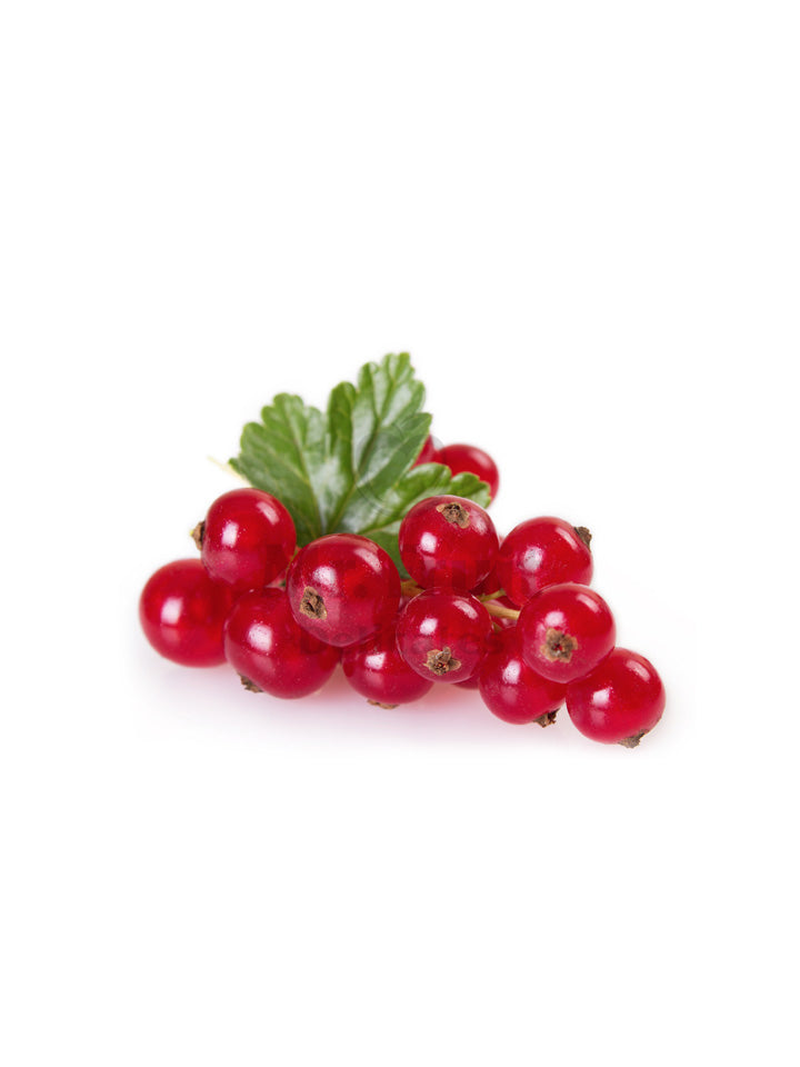 Ribizli